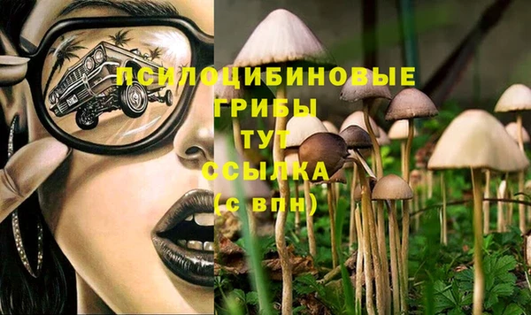 ешки Алексин
