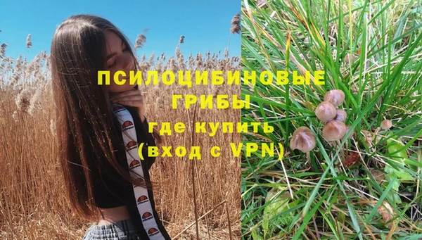ешки Алексин