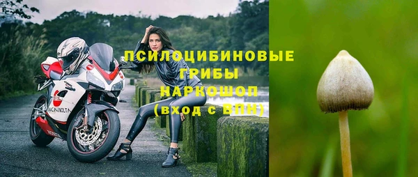 молекула духа Семикаракорск
